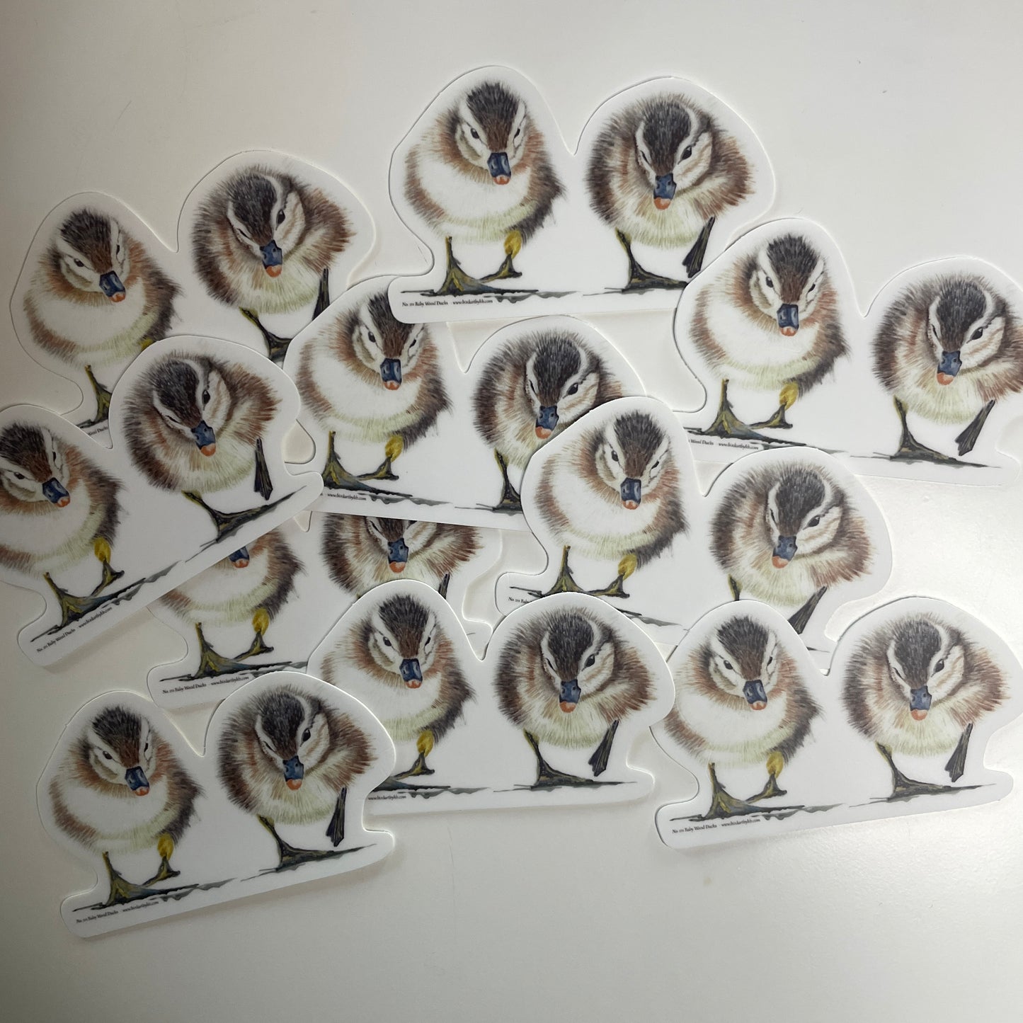 Baby Wood Ducks - Bird Art by KB - Sticker