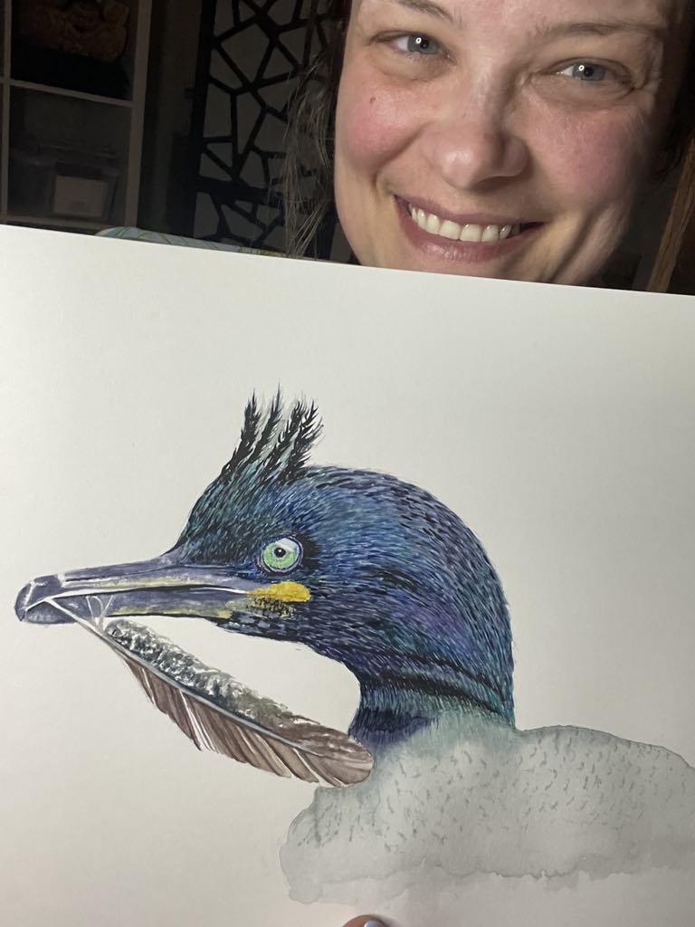 European Shag - Bird Art by KB - Original