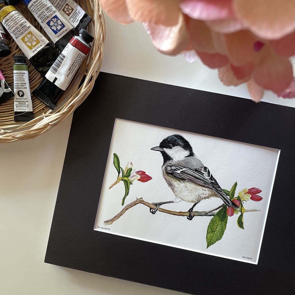 Coal Tit - Bird Art by KB - Giclee Print with Black Mat
