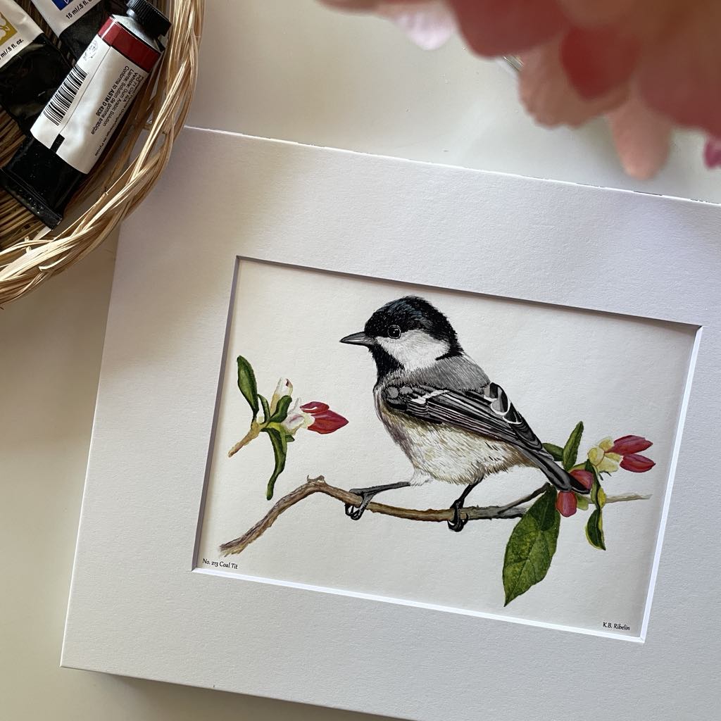 Coal Tit - Bird Art by KB - Giclee Print with White Mat