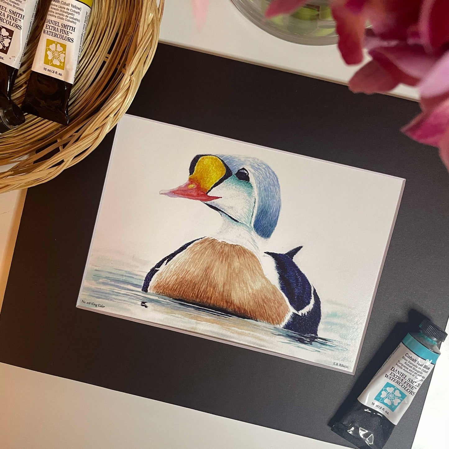 King Eider - Bird Art by KB - Giclee Print with Black Mat