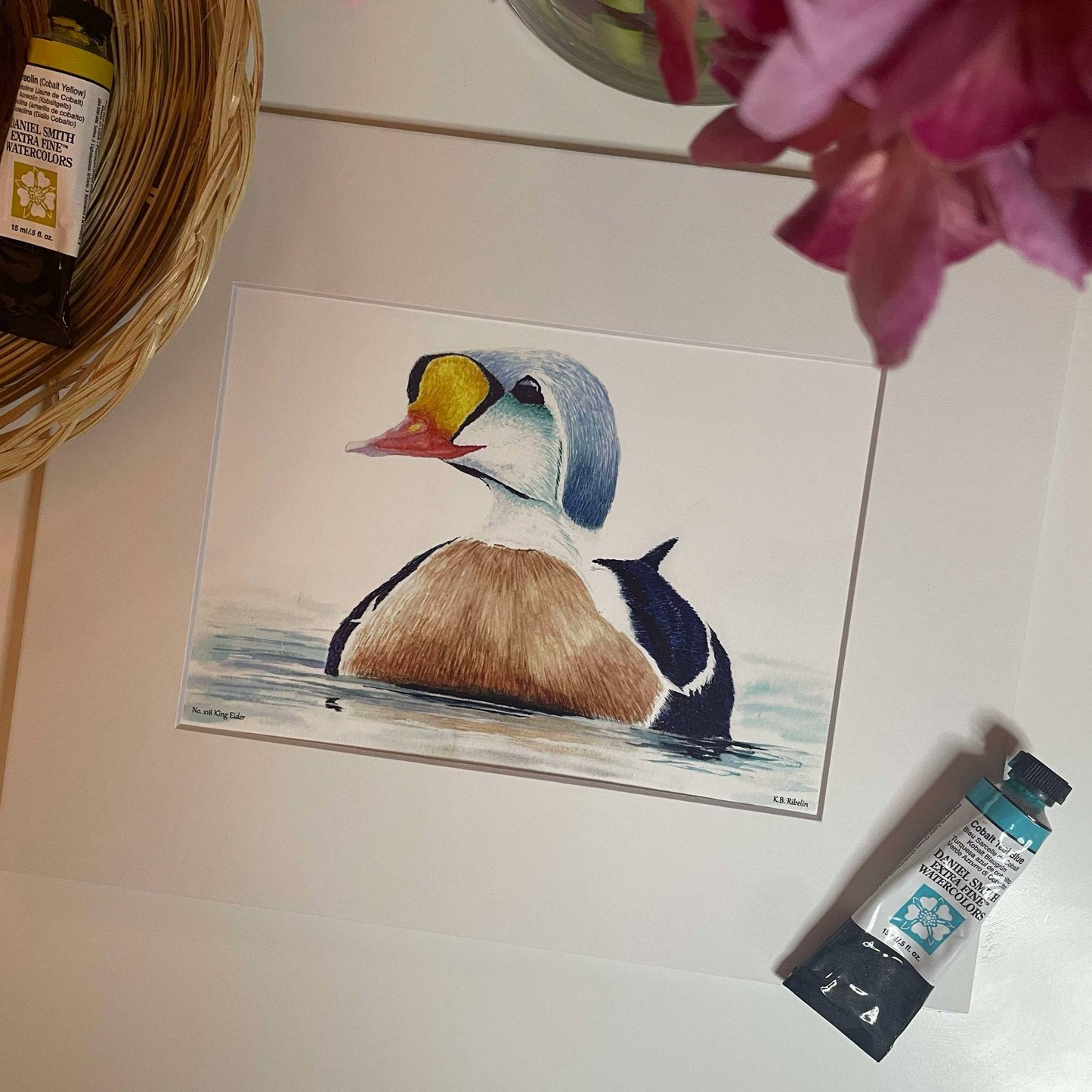 King Eider - Bird Art by KB - Giclee Print with White Mat