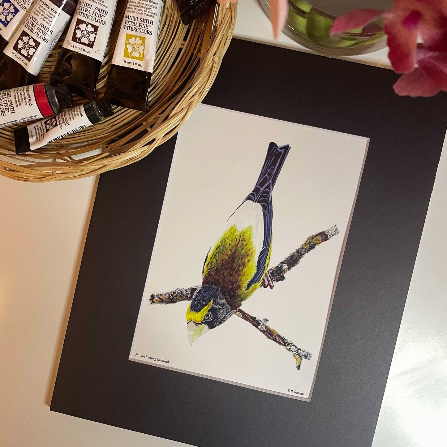 Evening Grosbeak - Bird Art by KB - Giclee Print with Black Mat