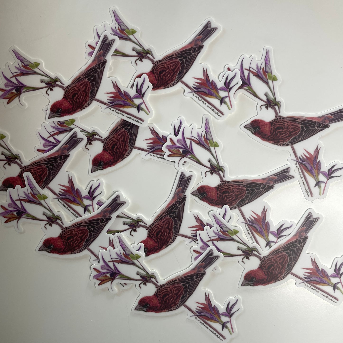 Purple Finch - Bird Art by KB - Sticker