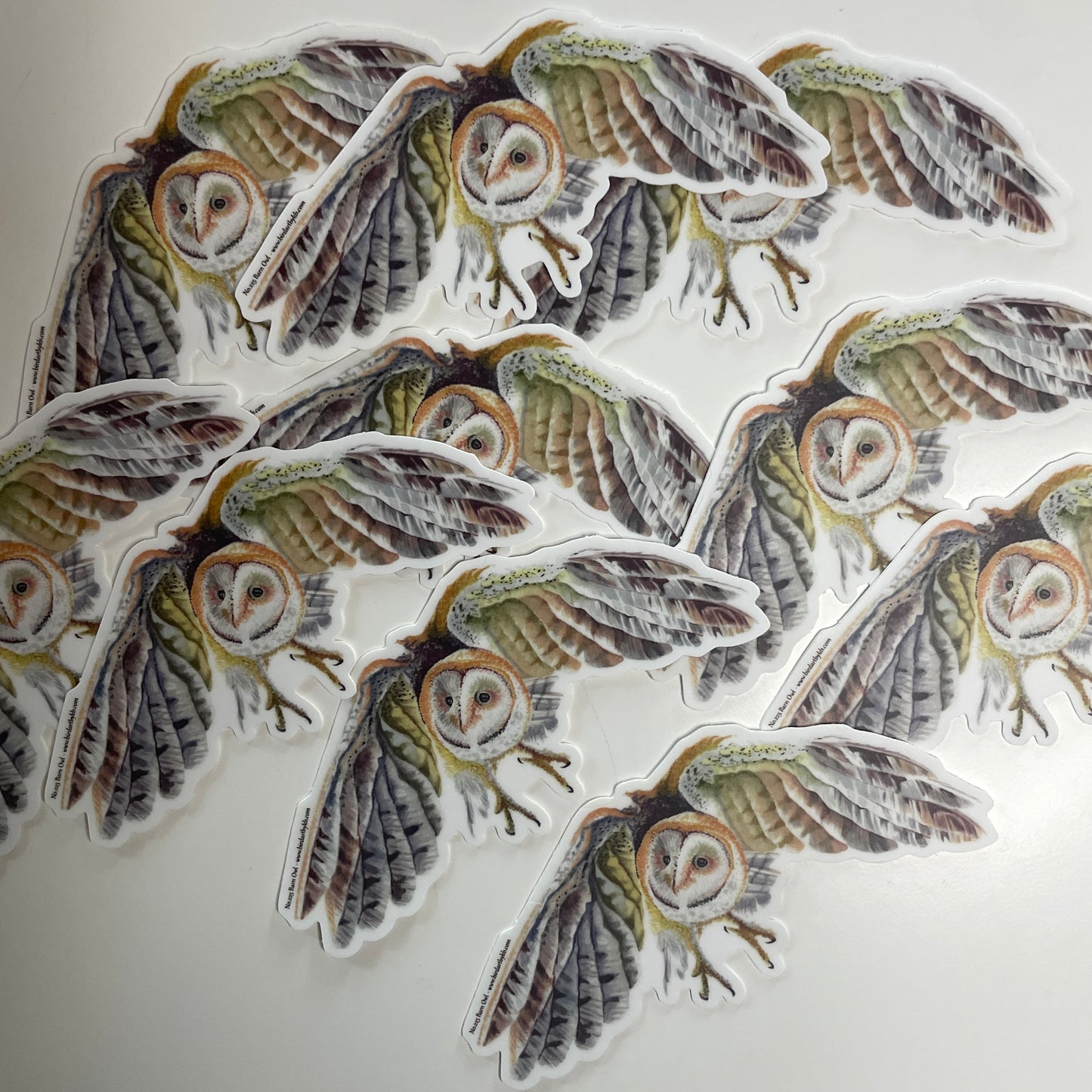 Barn Owl - Bird Art by KB - Sticker