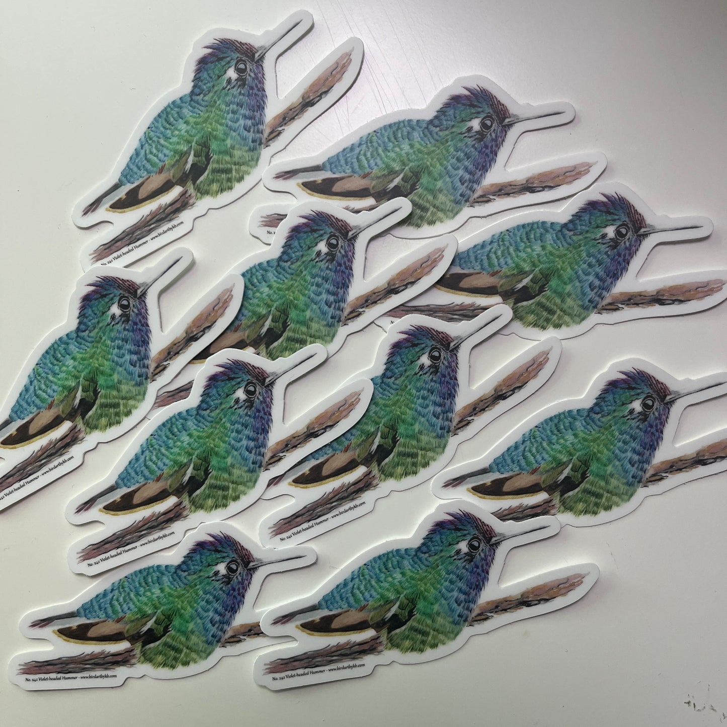 Violet-headed Hummingbird - Bird Art by KB - Sticker