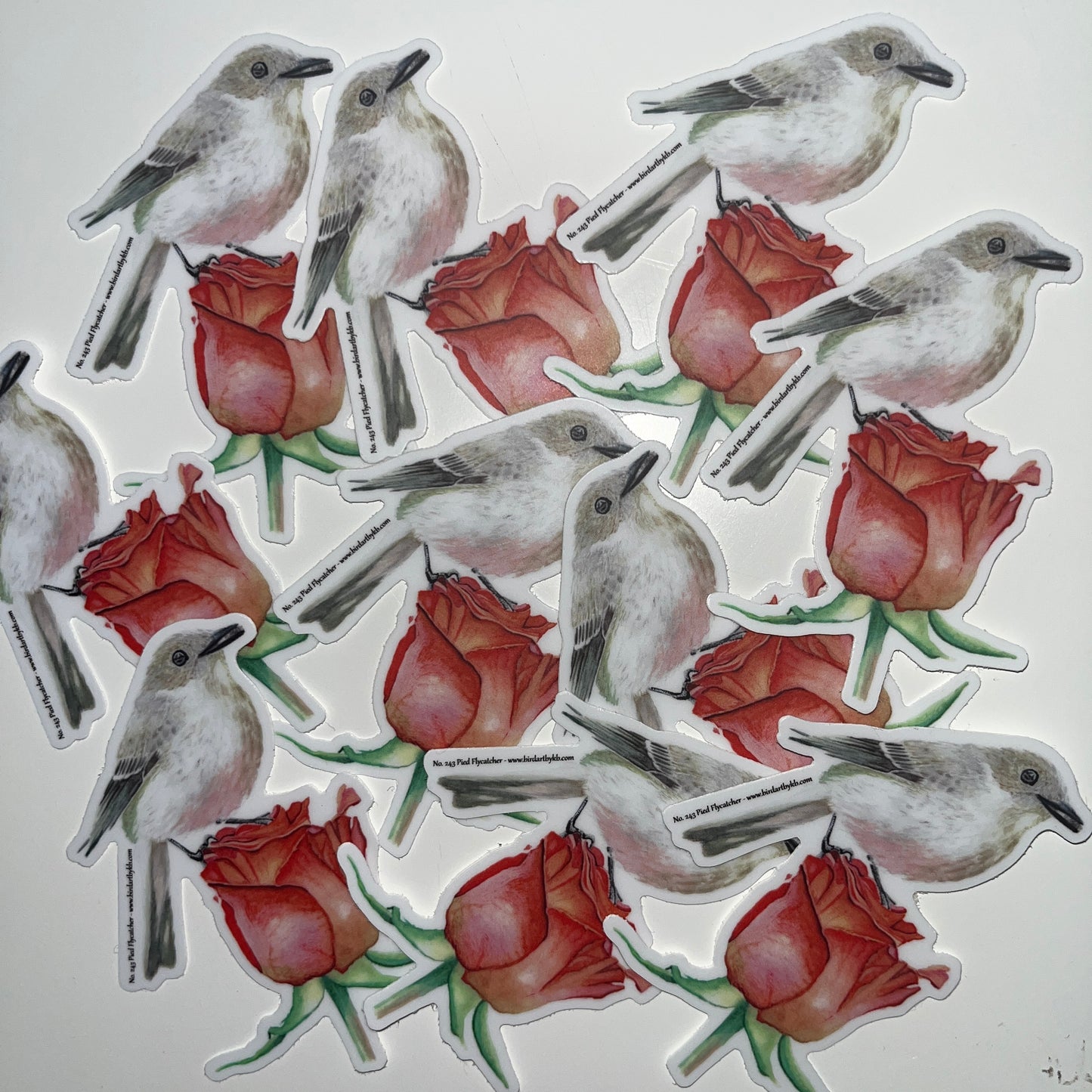 Pied Flycatcher - Bird Art by KB - Sticker