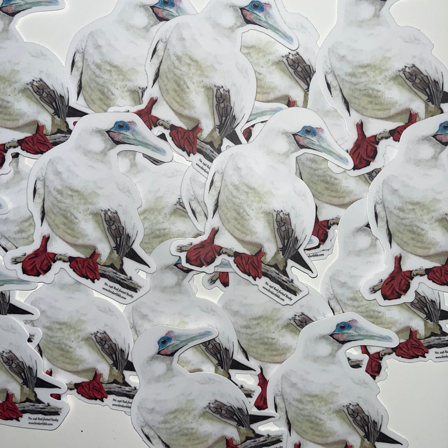 Red-footed Booby - Bird Art by KB - Sticker