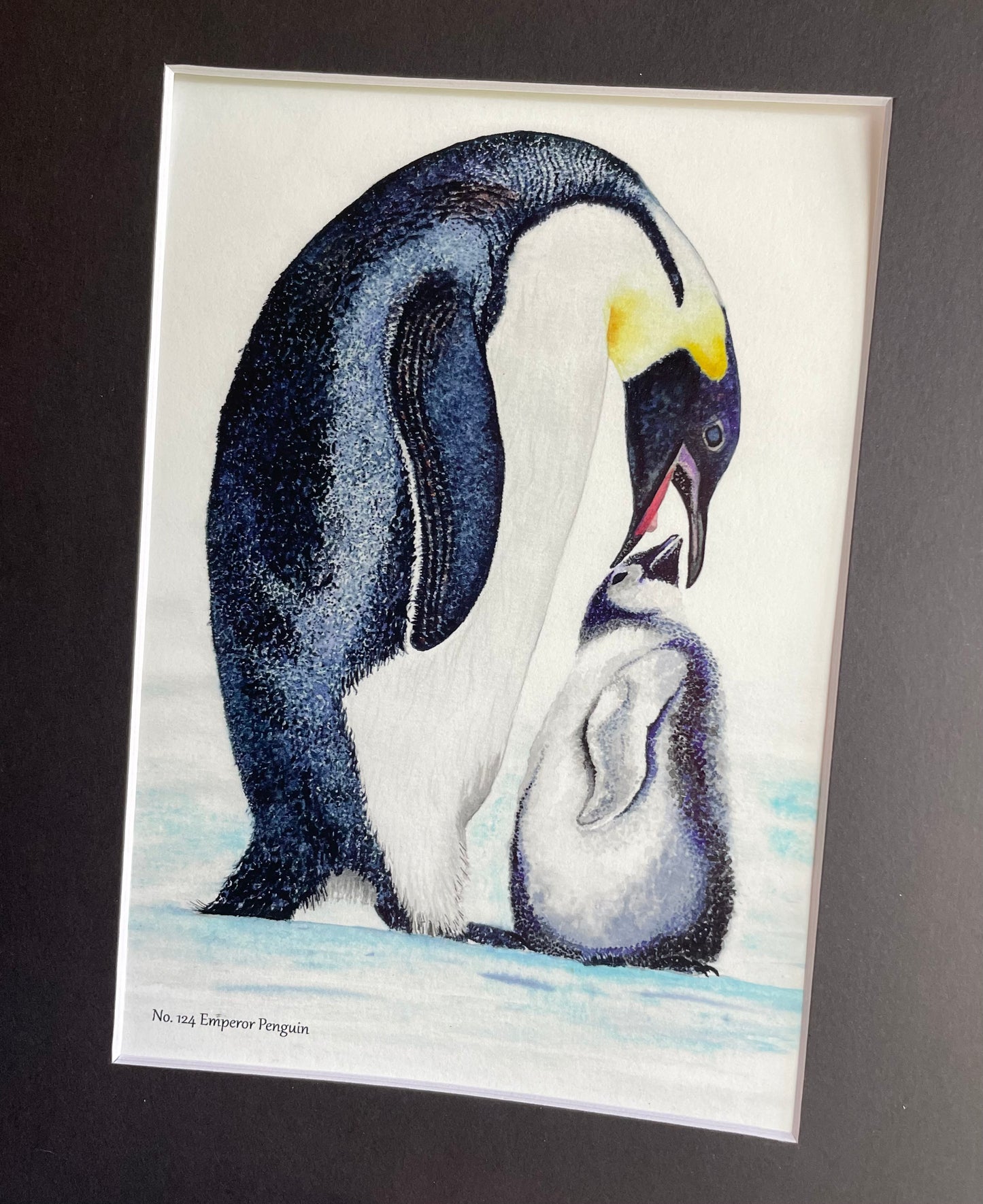 Emperor Penguin - Bird Art by KB