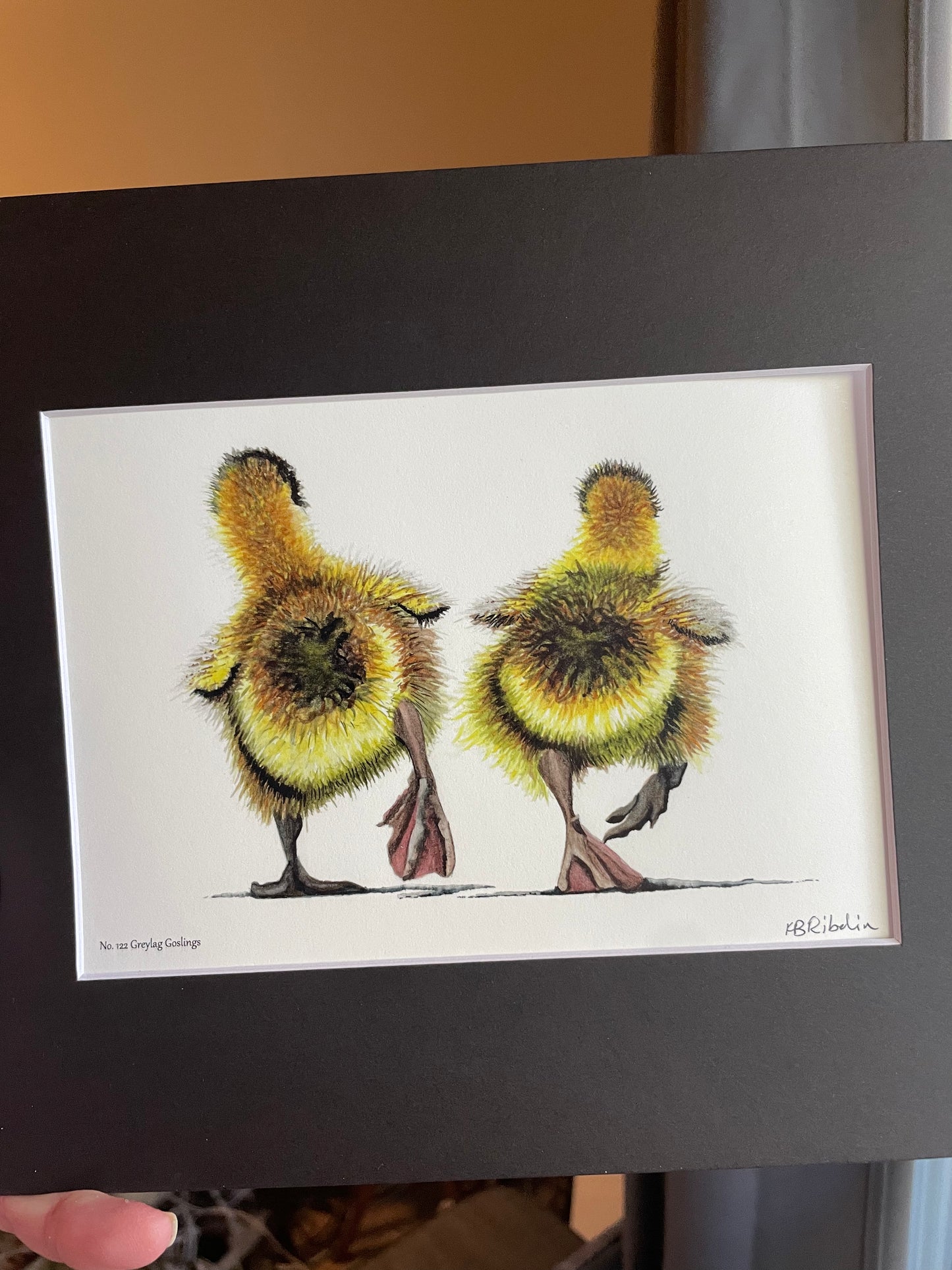 Greylag Goslings - Bird Art by KB