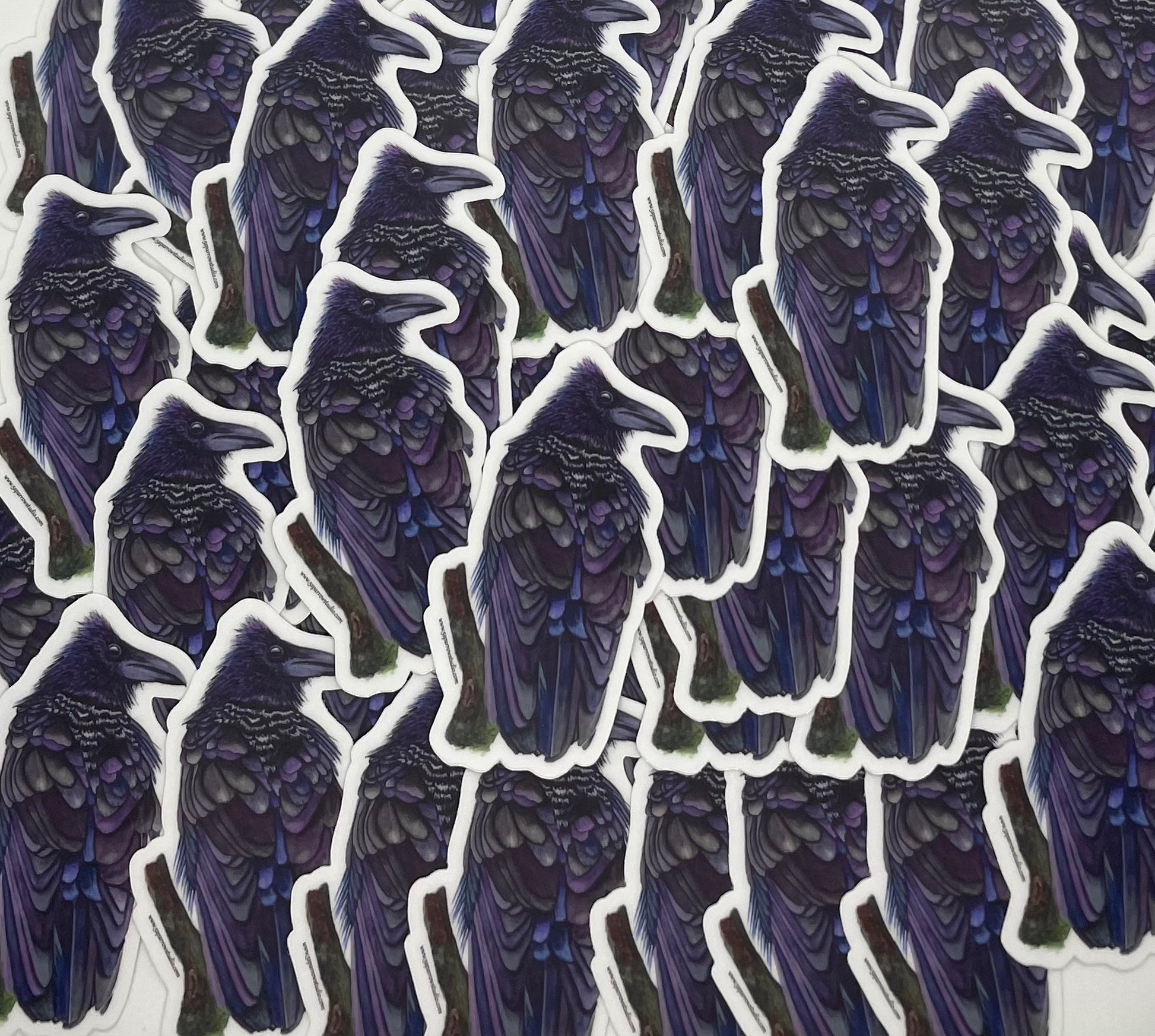 Raven - Bird Art by KB