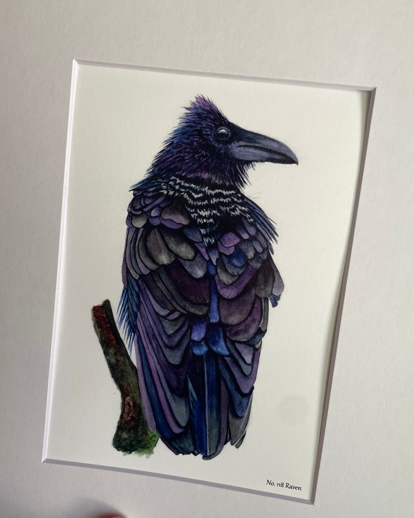 Raven - Bird Art by KB