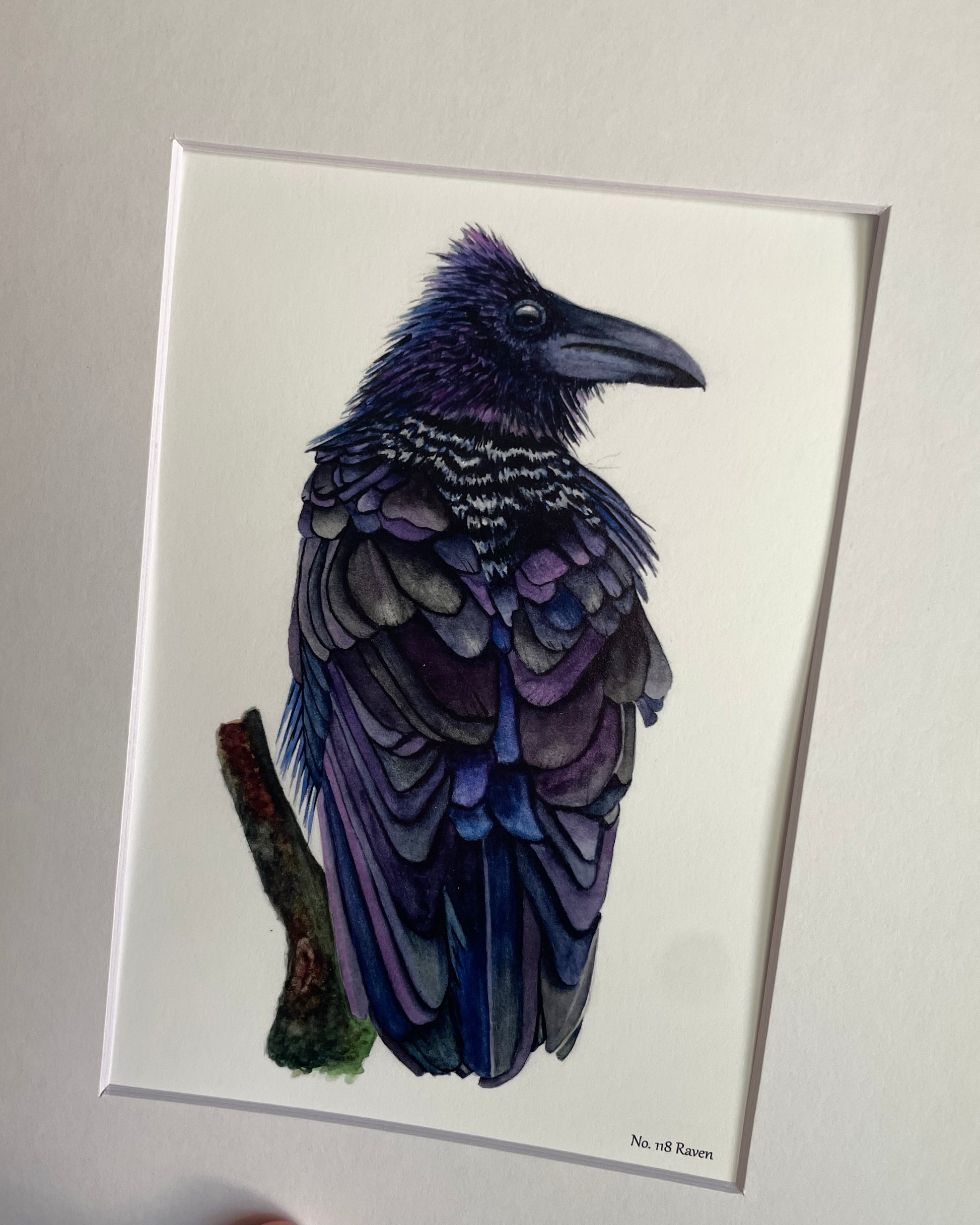 Raven - Bird Art by KB