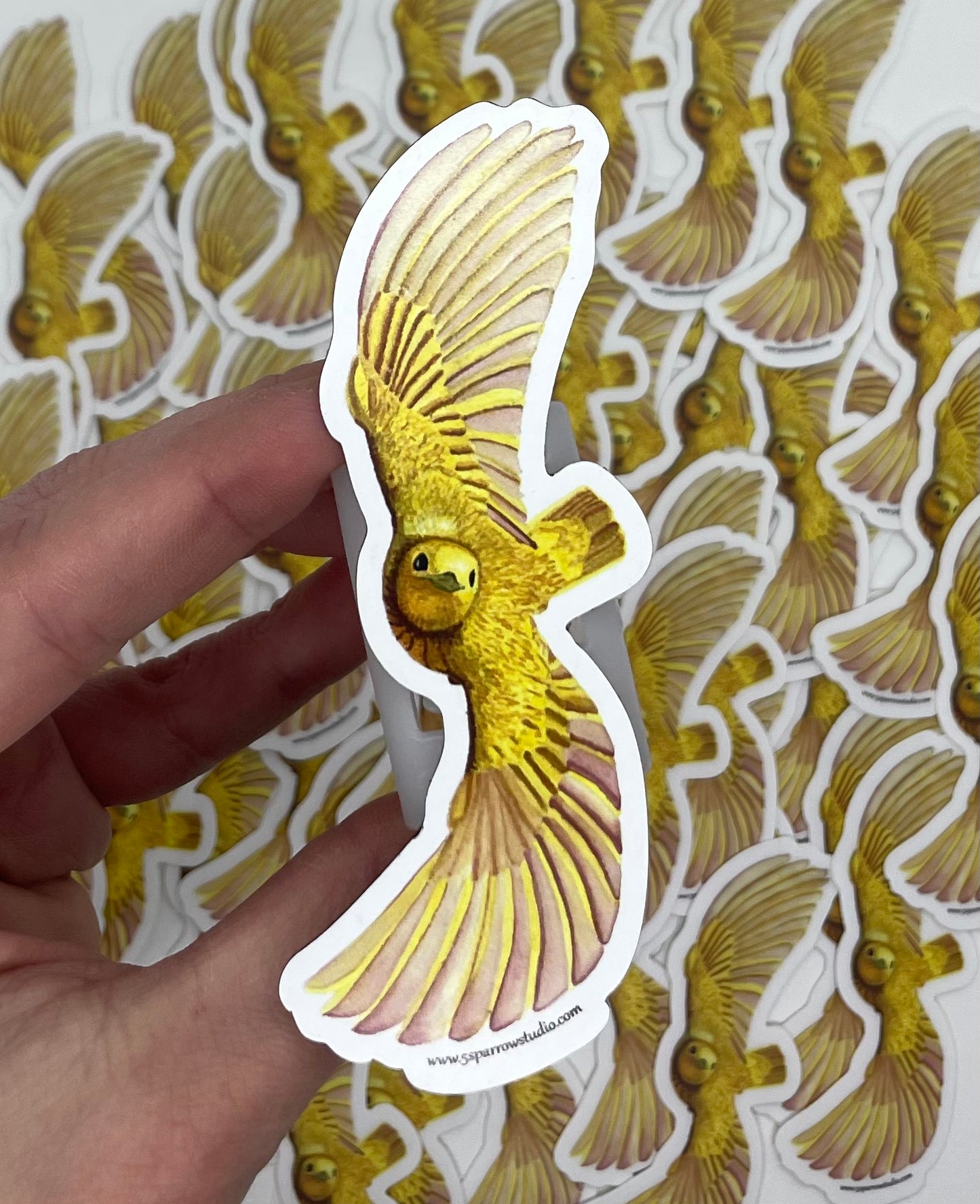 Yellow Warbler - Bird Art by KB