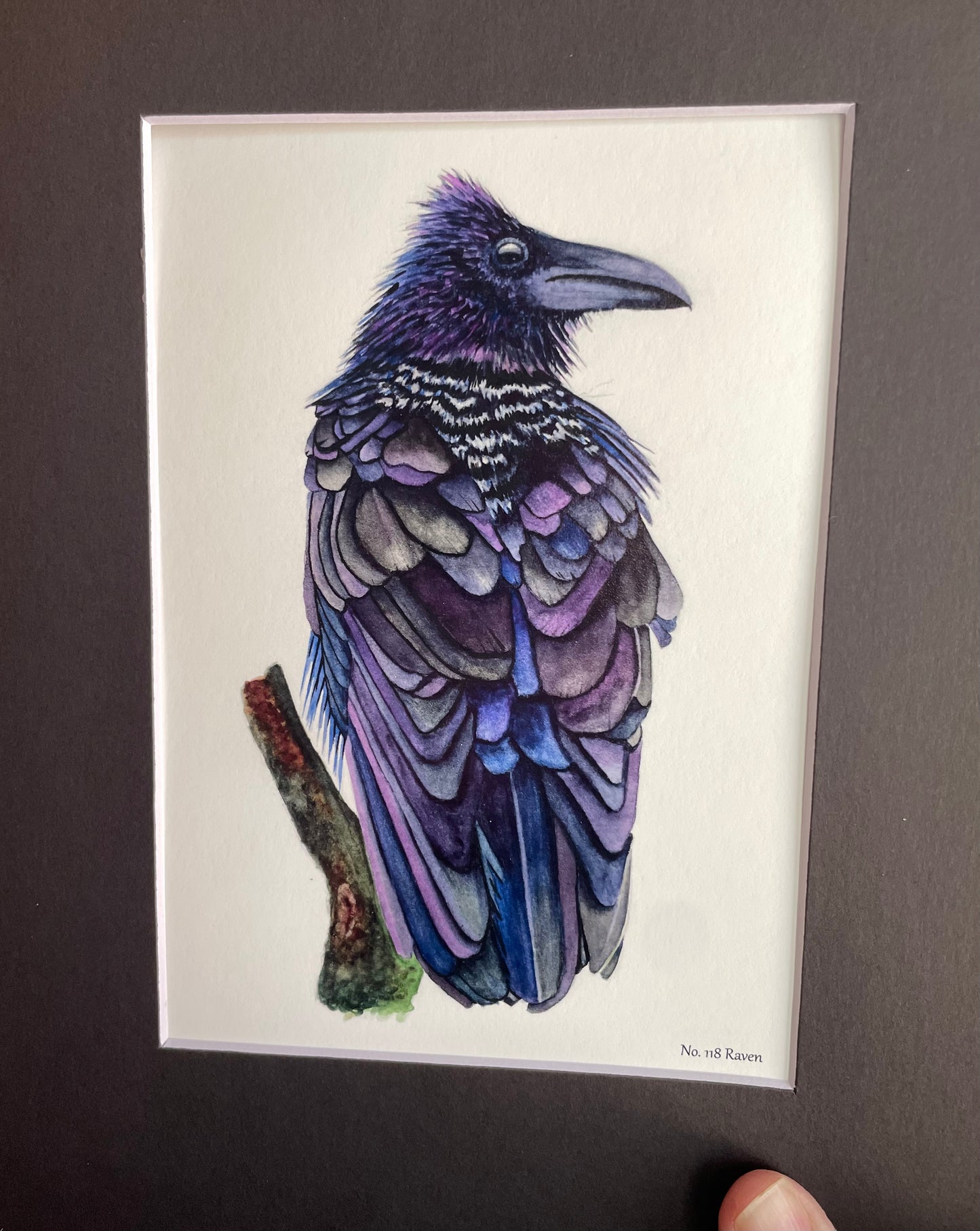 Raven - Bird Art by KB