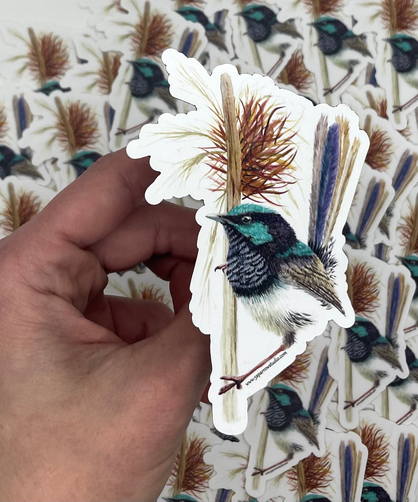 Superb Fairywren - Bird Art by KB