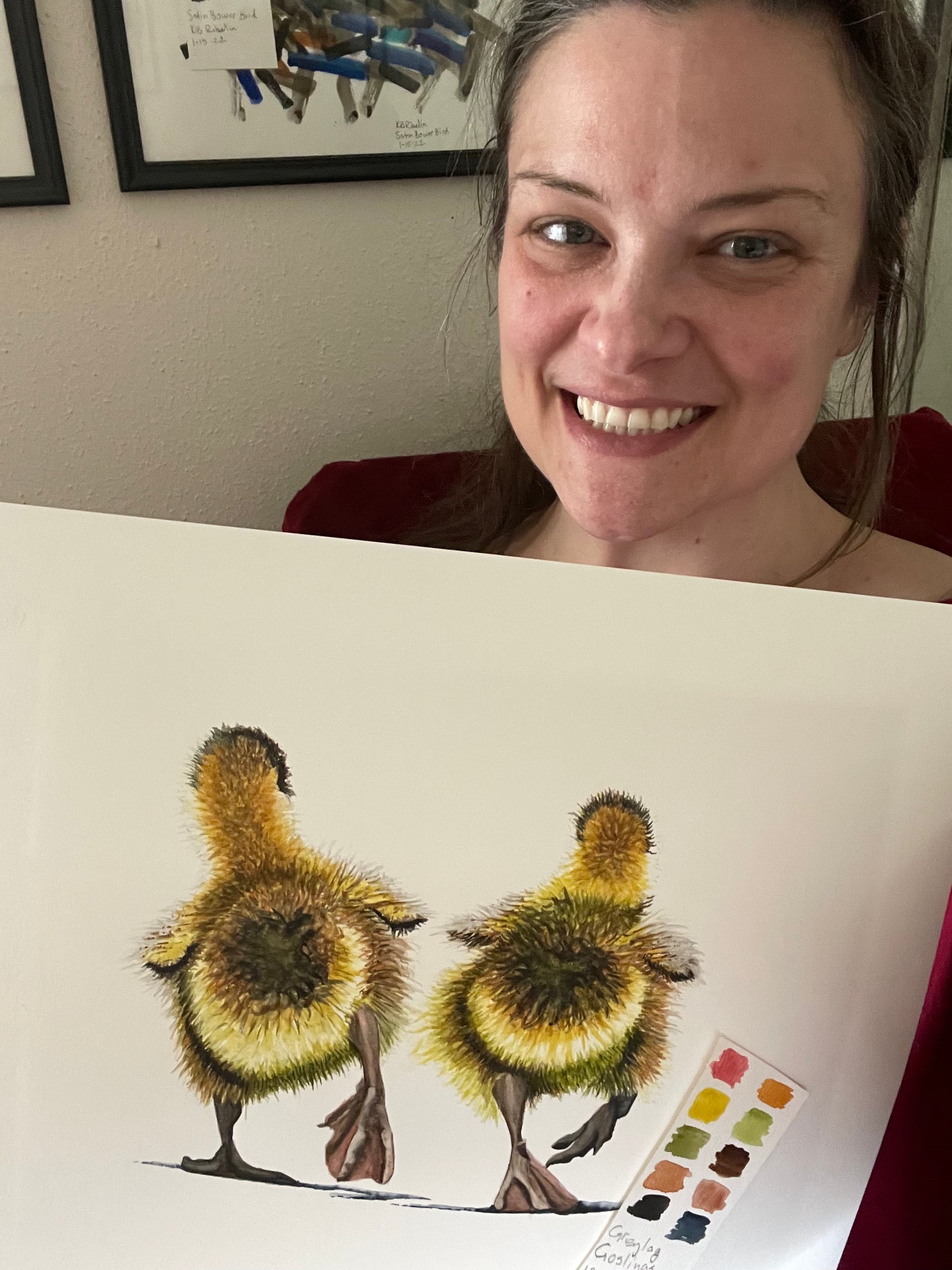 Greylag Goslings - Bird Art by KB