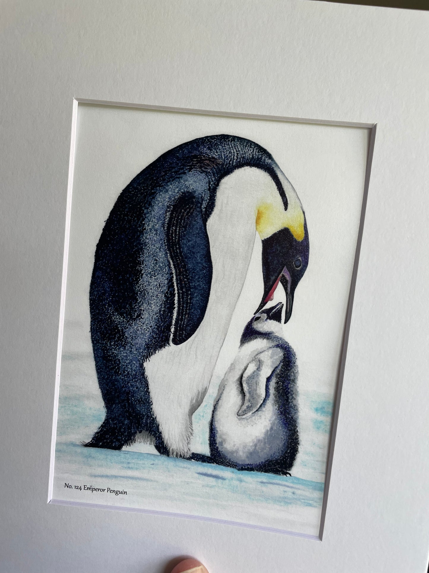 Emperor Penguin - Bird Art by KB