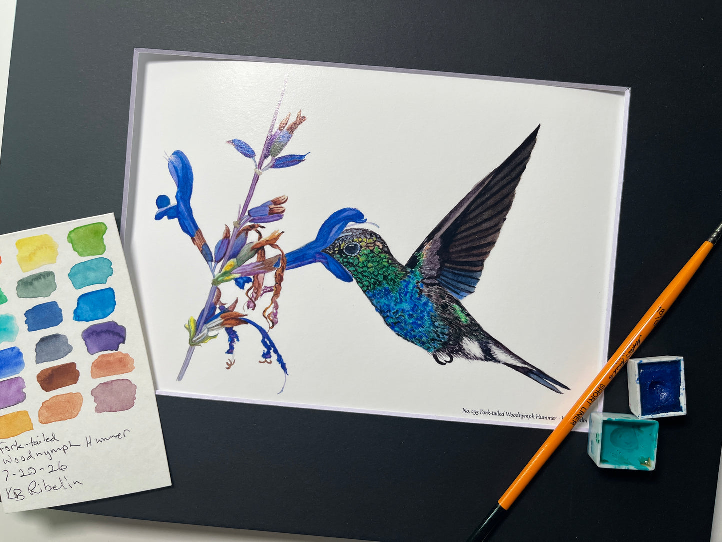 Giclee print of a fork‑tailed wood nymph hummingbird feeding from a tropical flower watercolor displayed in a black mat.