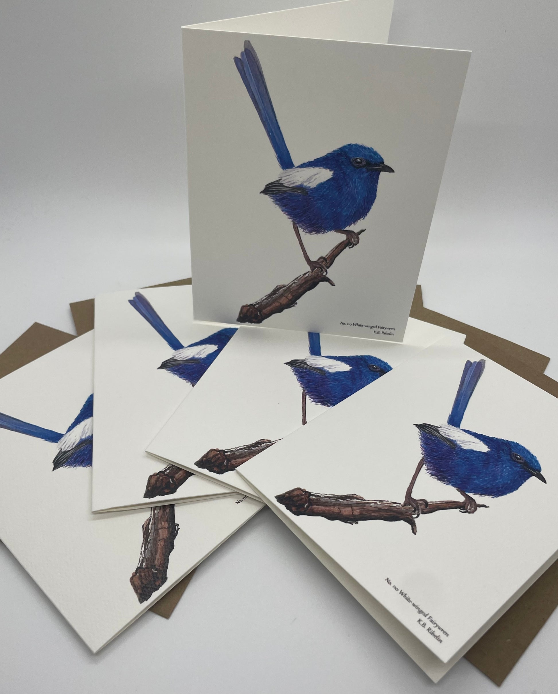 White-winged Fairywren - Bird Art by KB