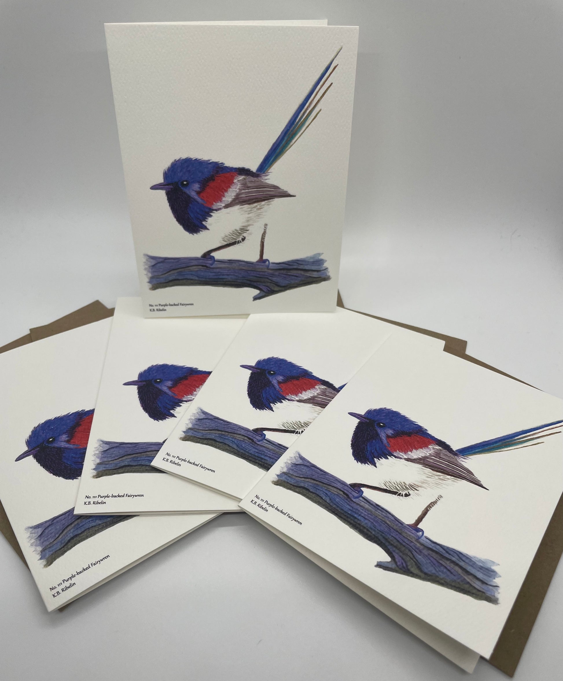Purple-backed Fairywren - Bird Art by KB