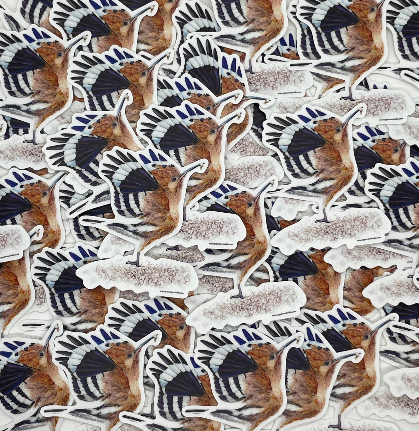 Eurasian Hoopoe - Bird Art by KB