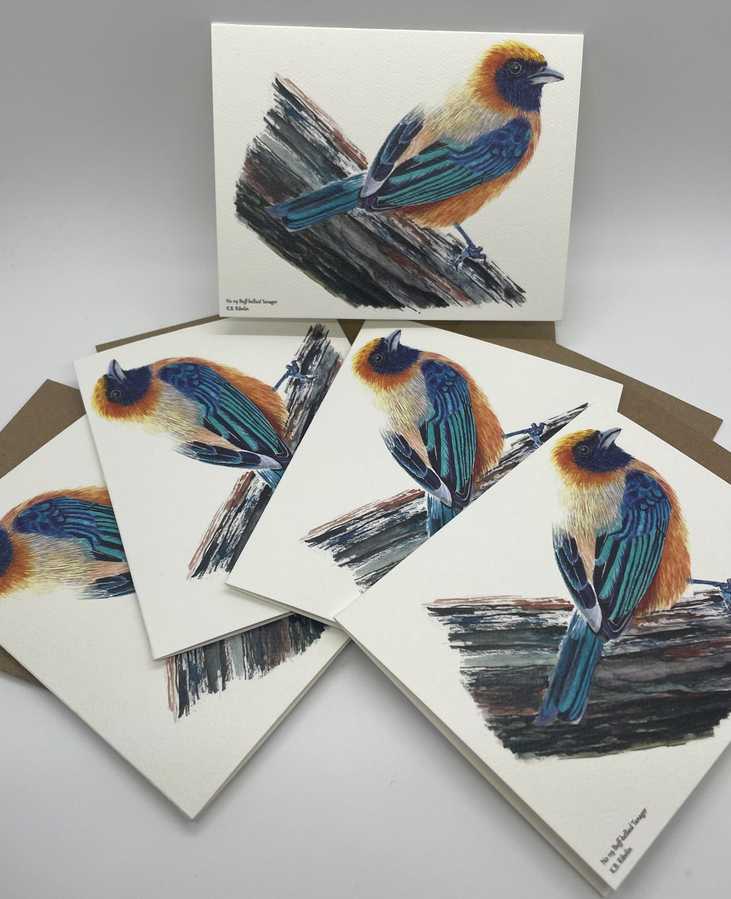 Buff-bellied Tanager - Bird Art by KB