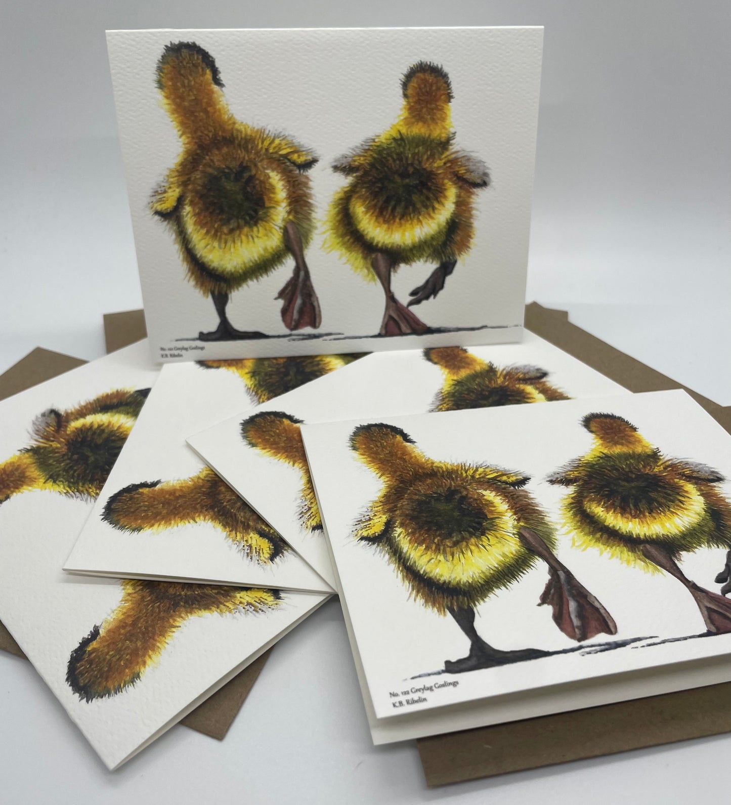 Greylag Goslings - Bird Art by KB