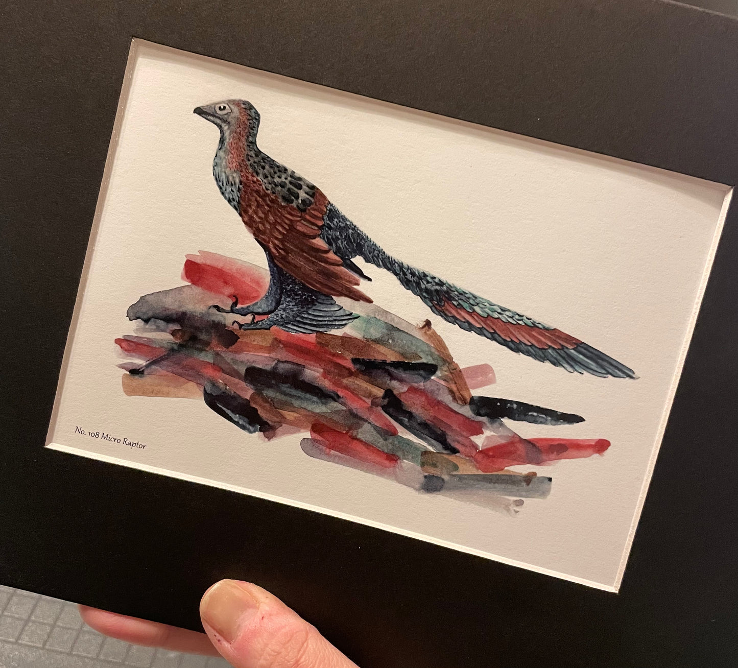 Microraptor - Bird Art by KB