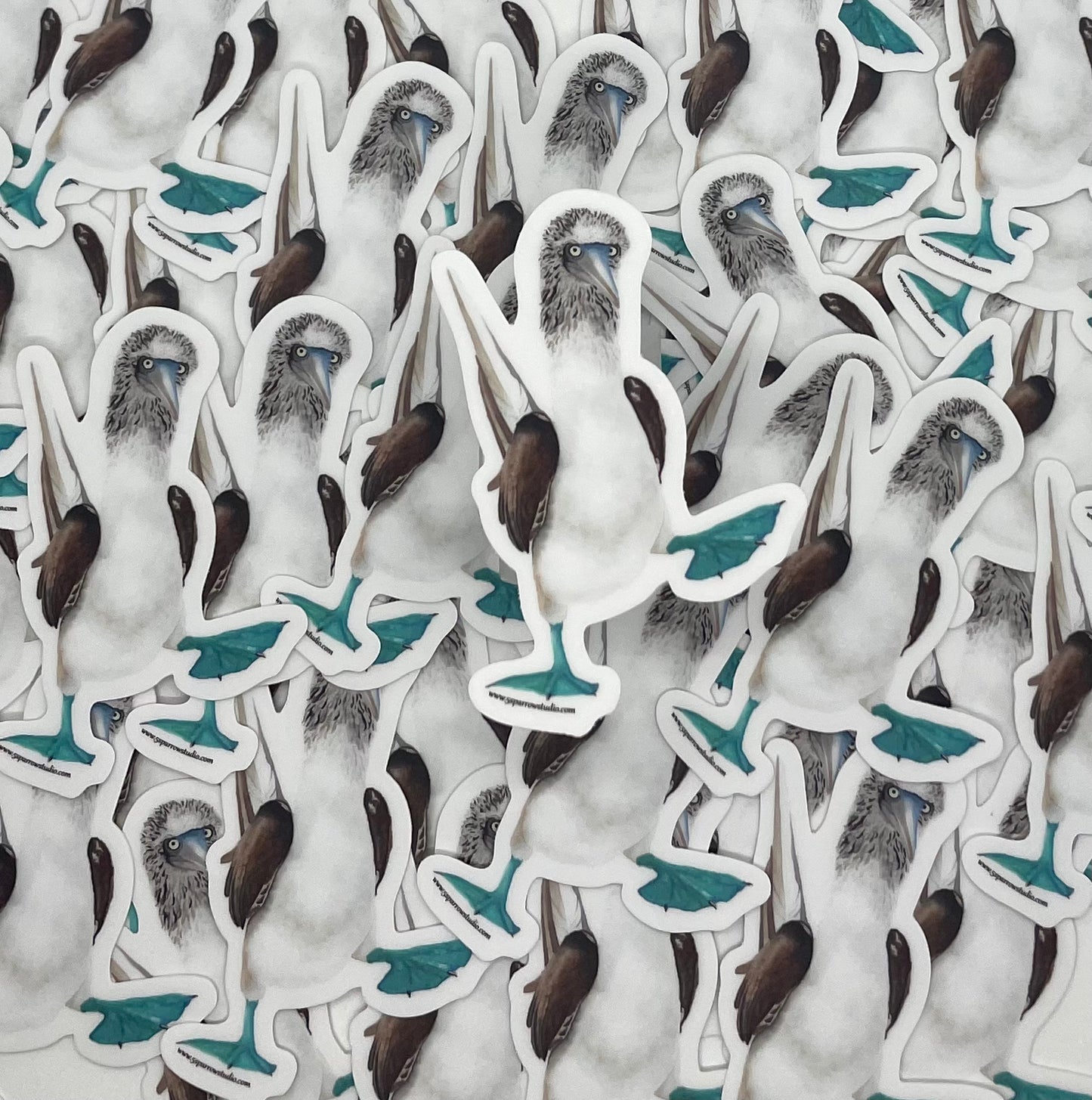 Blue-Footed Booby - Bird Art by KB