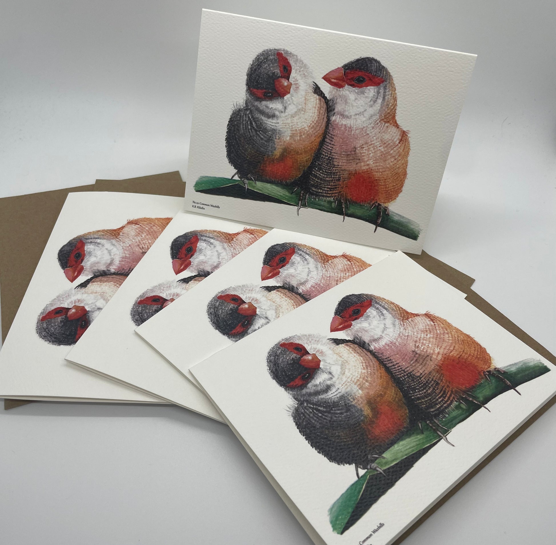 Common Waxbill - Bird Art by KB