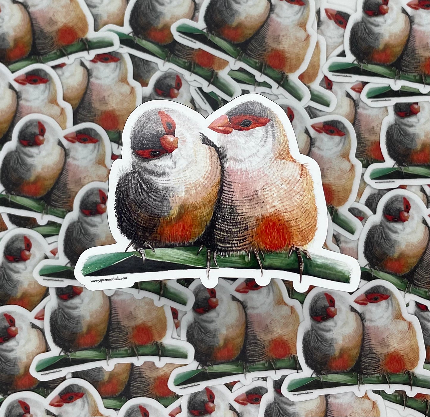 Common Waxbill - Bird Art by KB