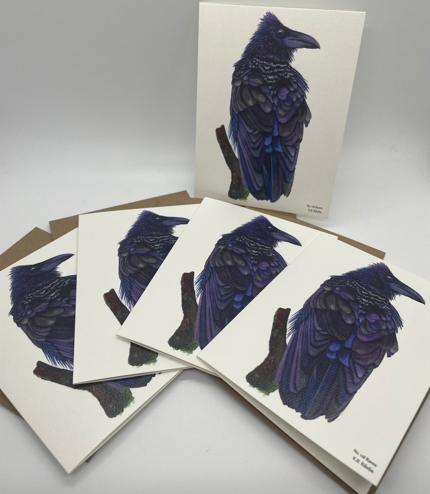 Raven - Bird Art by KB