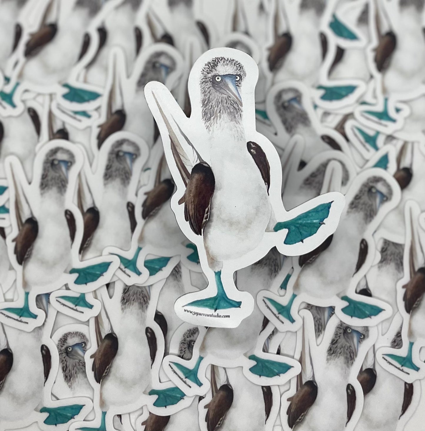 Blue-Footed Booby - Bird Art by KB