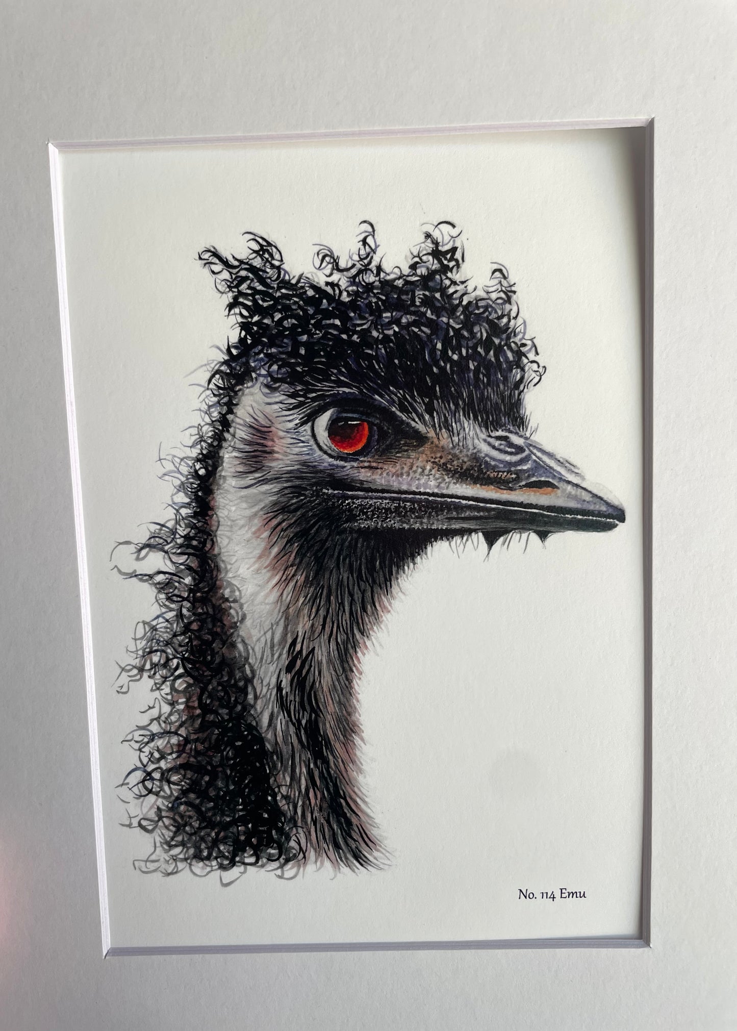 Emu - Bird Art by KB