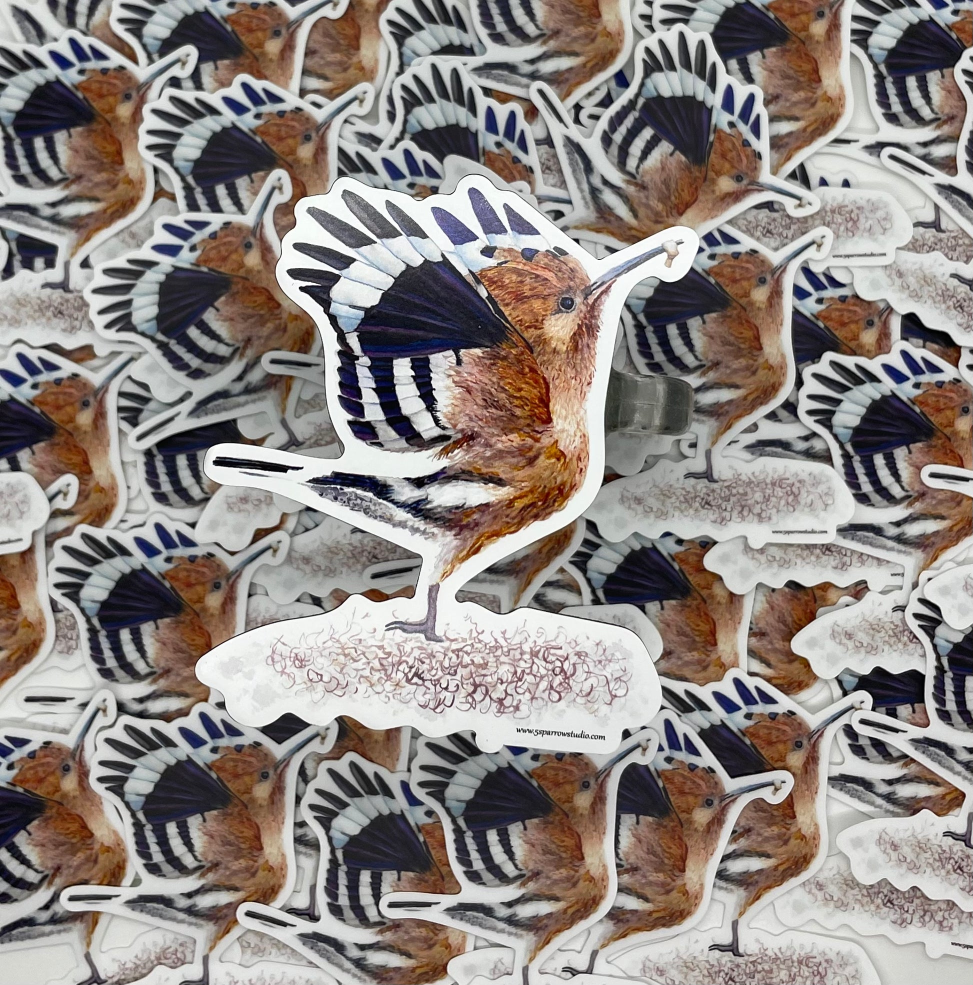 Eurasian Hoopoe - Bird Art by KB