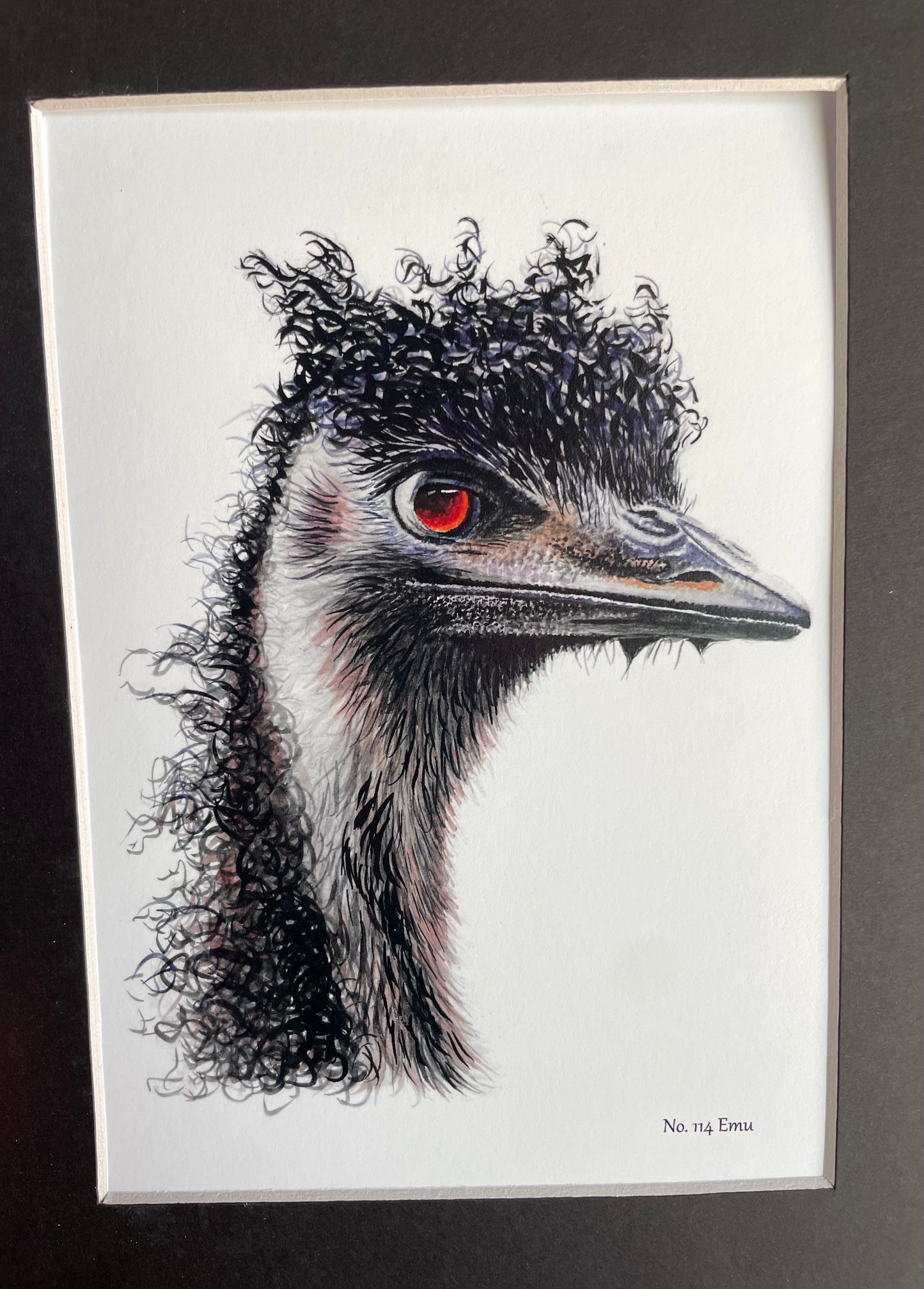 Emu - Bird Art by KB