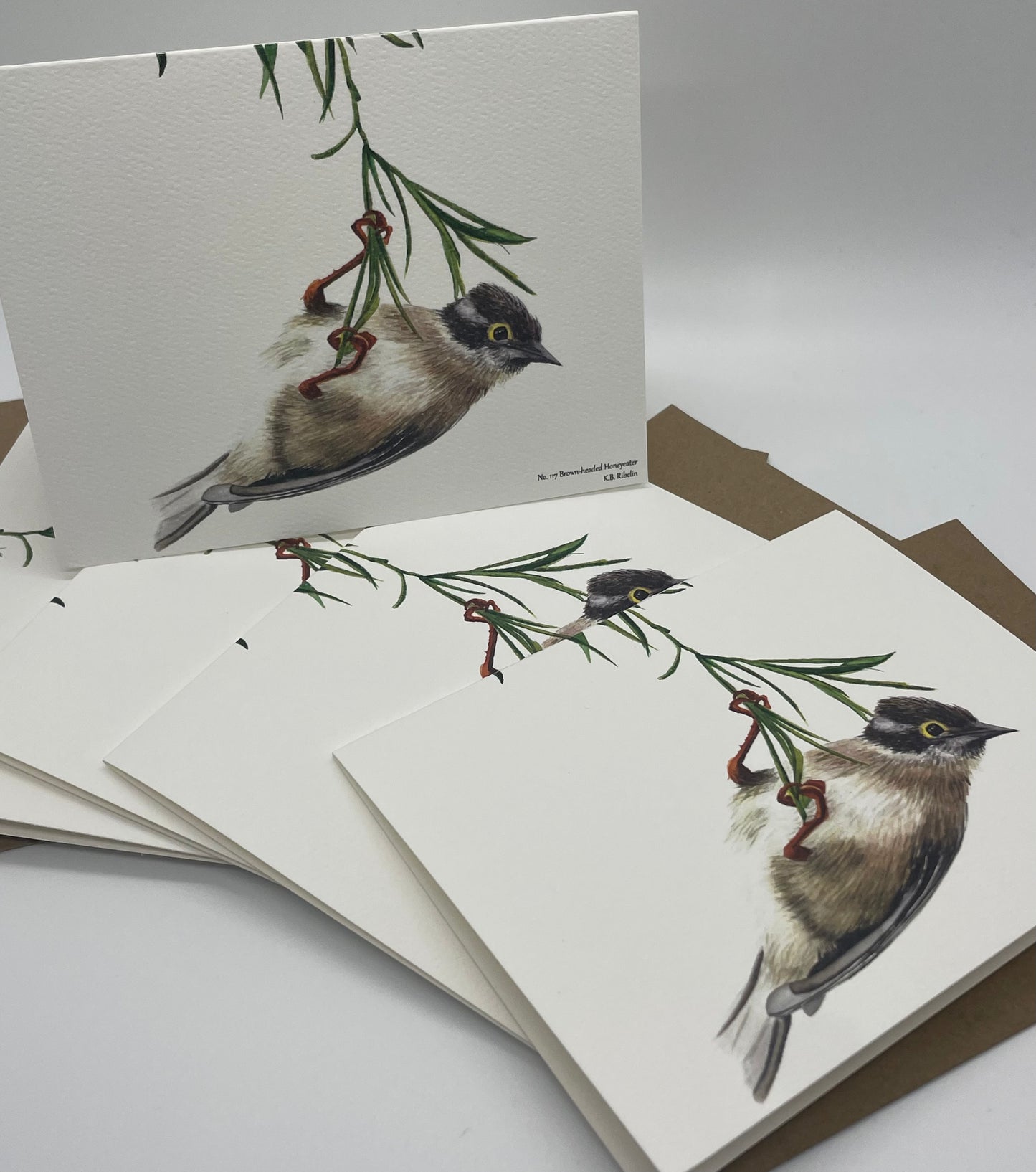 Brown-headed Honeyeater - Bird Art by KB