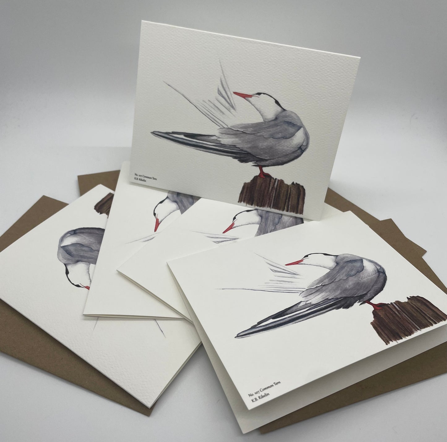 Common Tern - Bird Art by KB