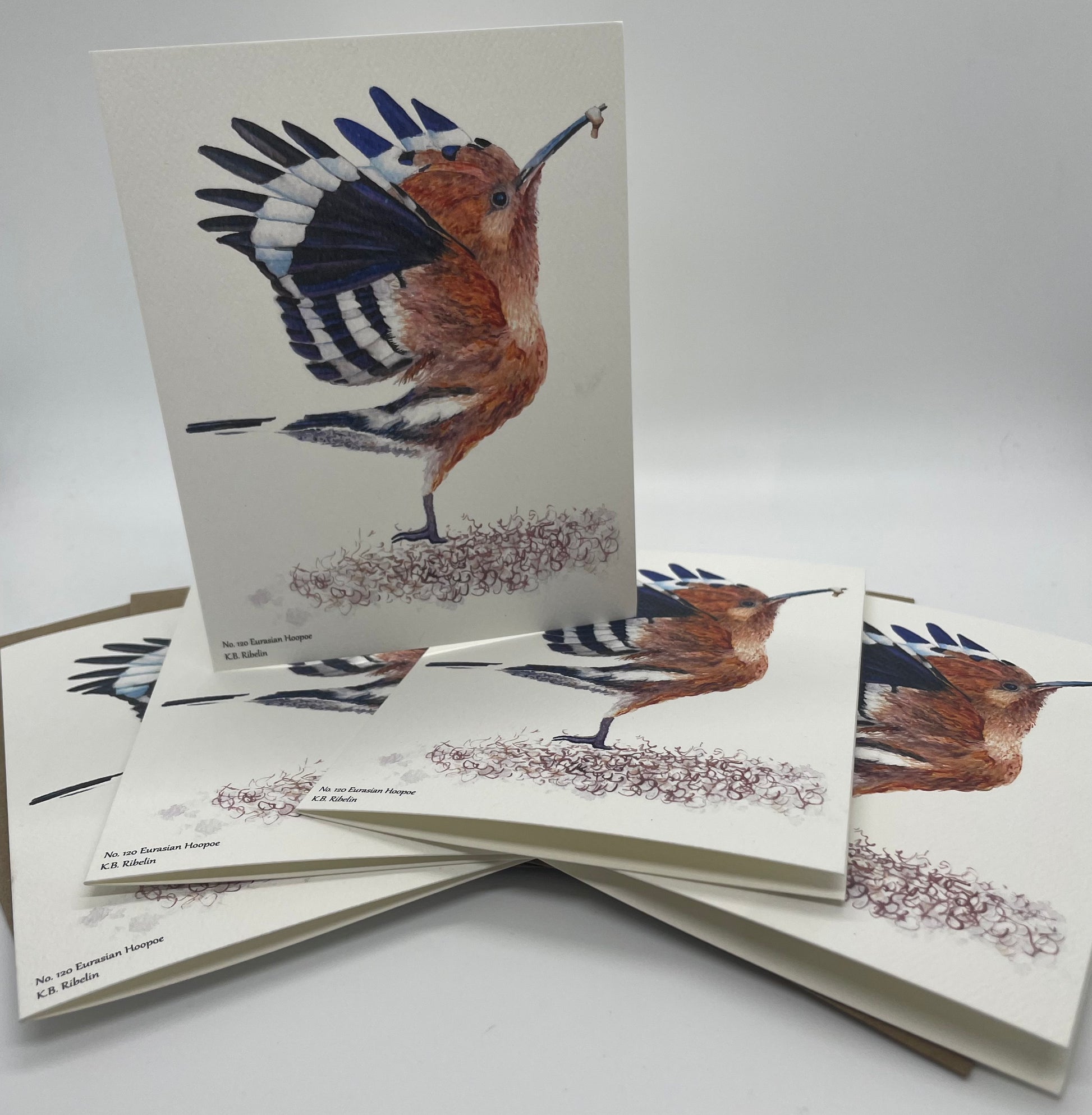 Eurasian Hoopoe - Bird Art by KB