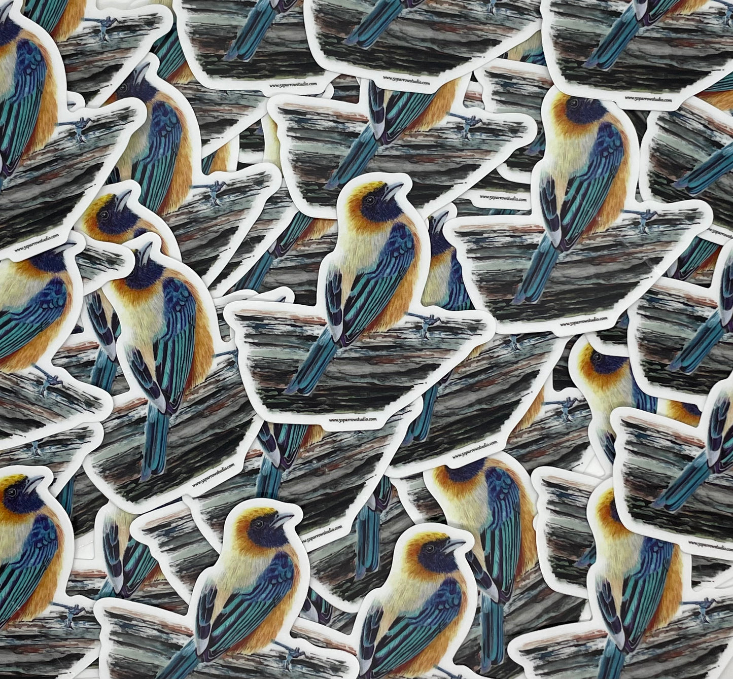 Buff-bellied Tanager - Bird Art by KB