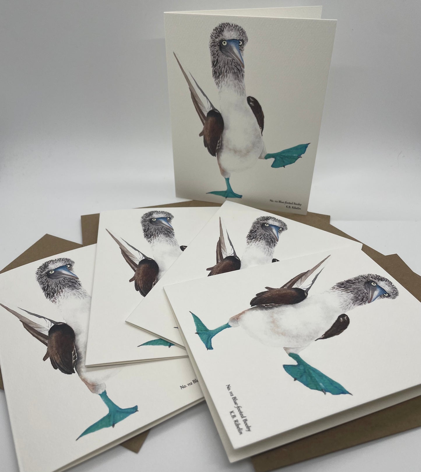 Blue-Footed Booby - Bird Art by KB
