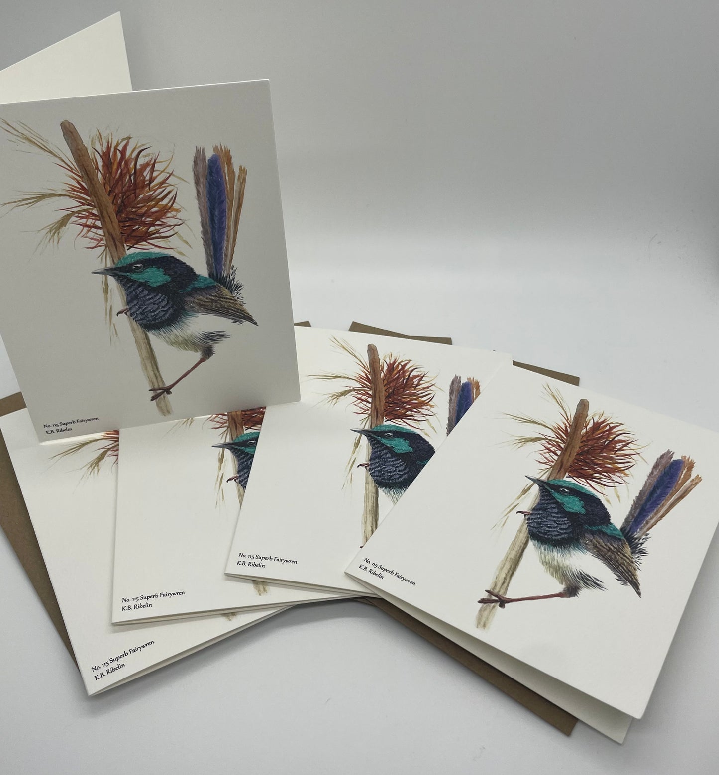 Superb Fairywren - Bird Art by KB