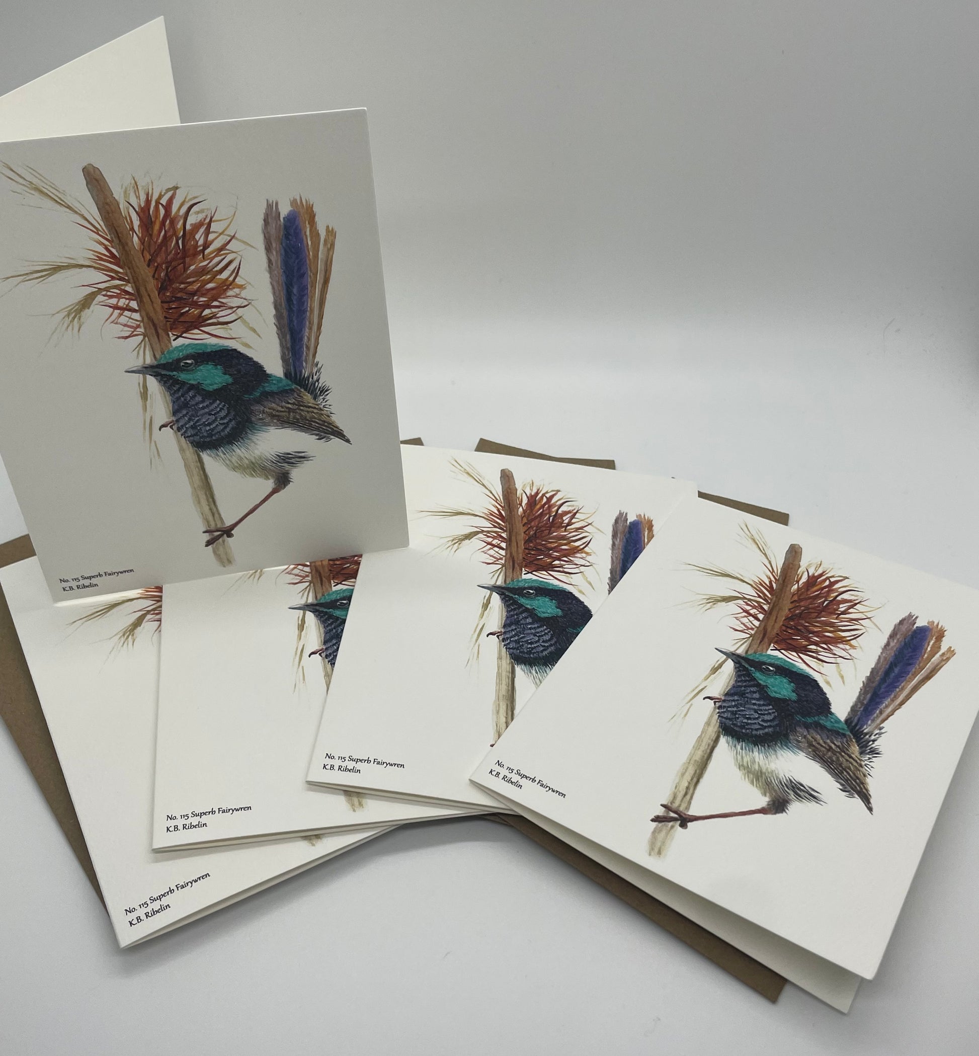 Superb Fairywren - Bird Art by KB