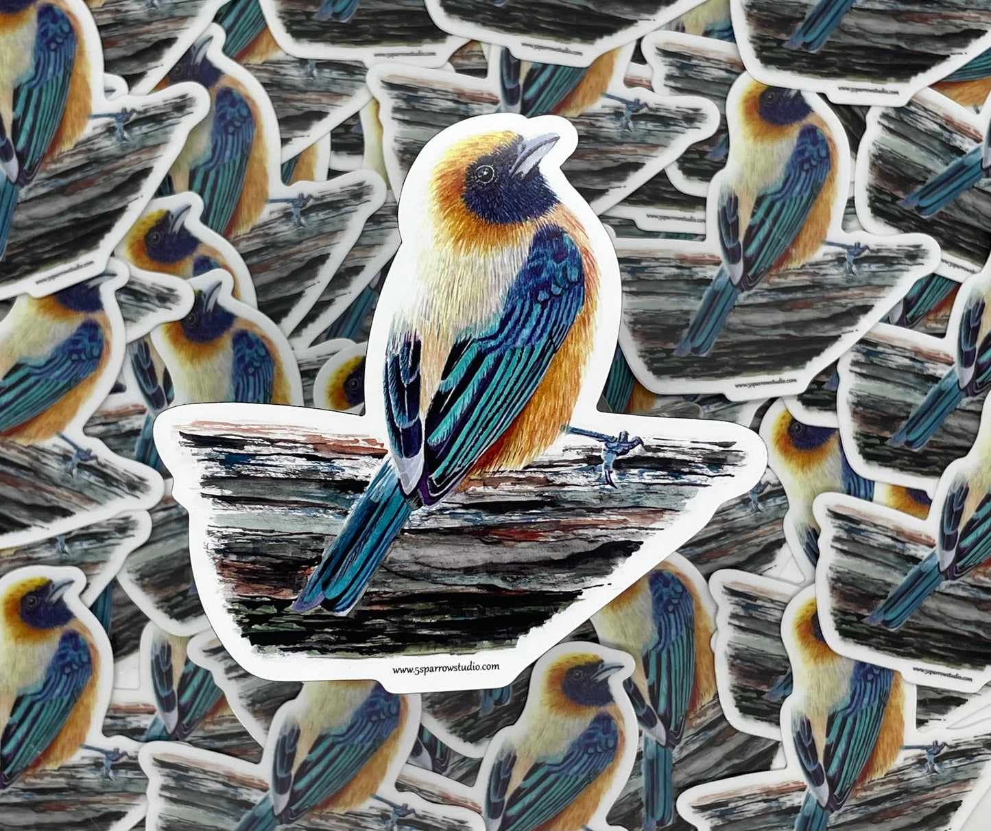 Buff-bellied Tanager - Bird Art by KB