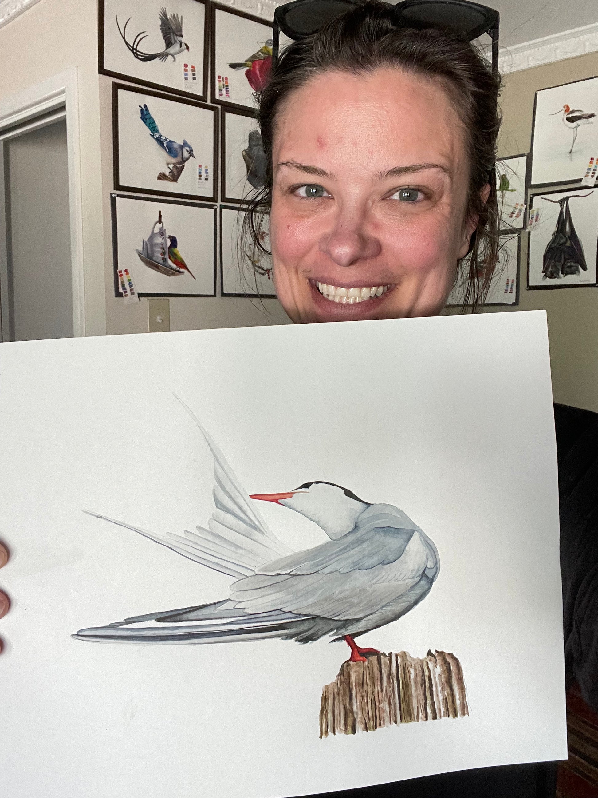 Common Tern - Bird Art by KB