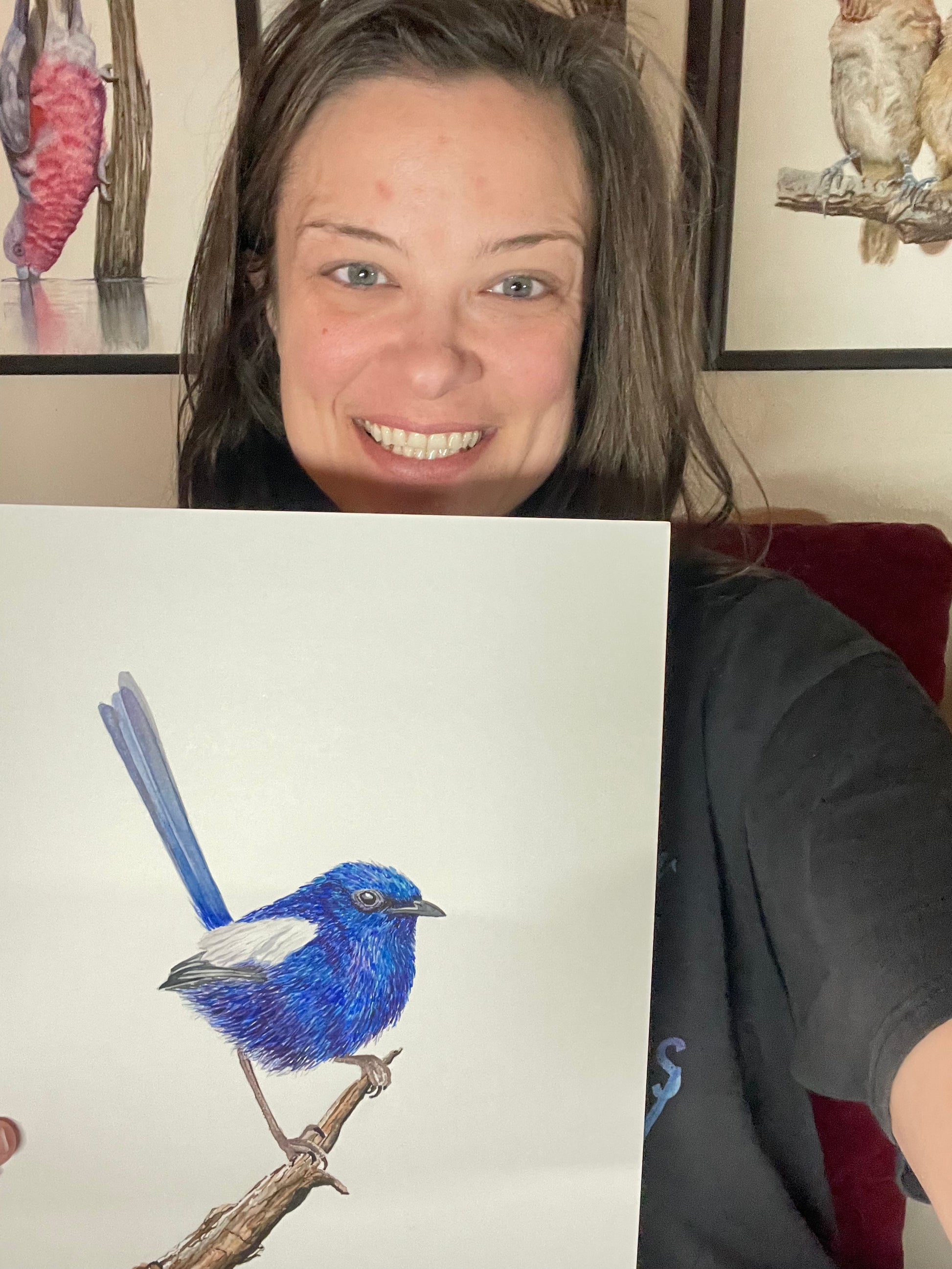 White-winged Fairywren - Bird Art by KB