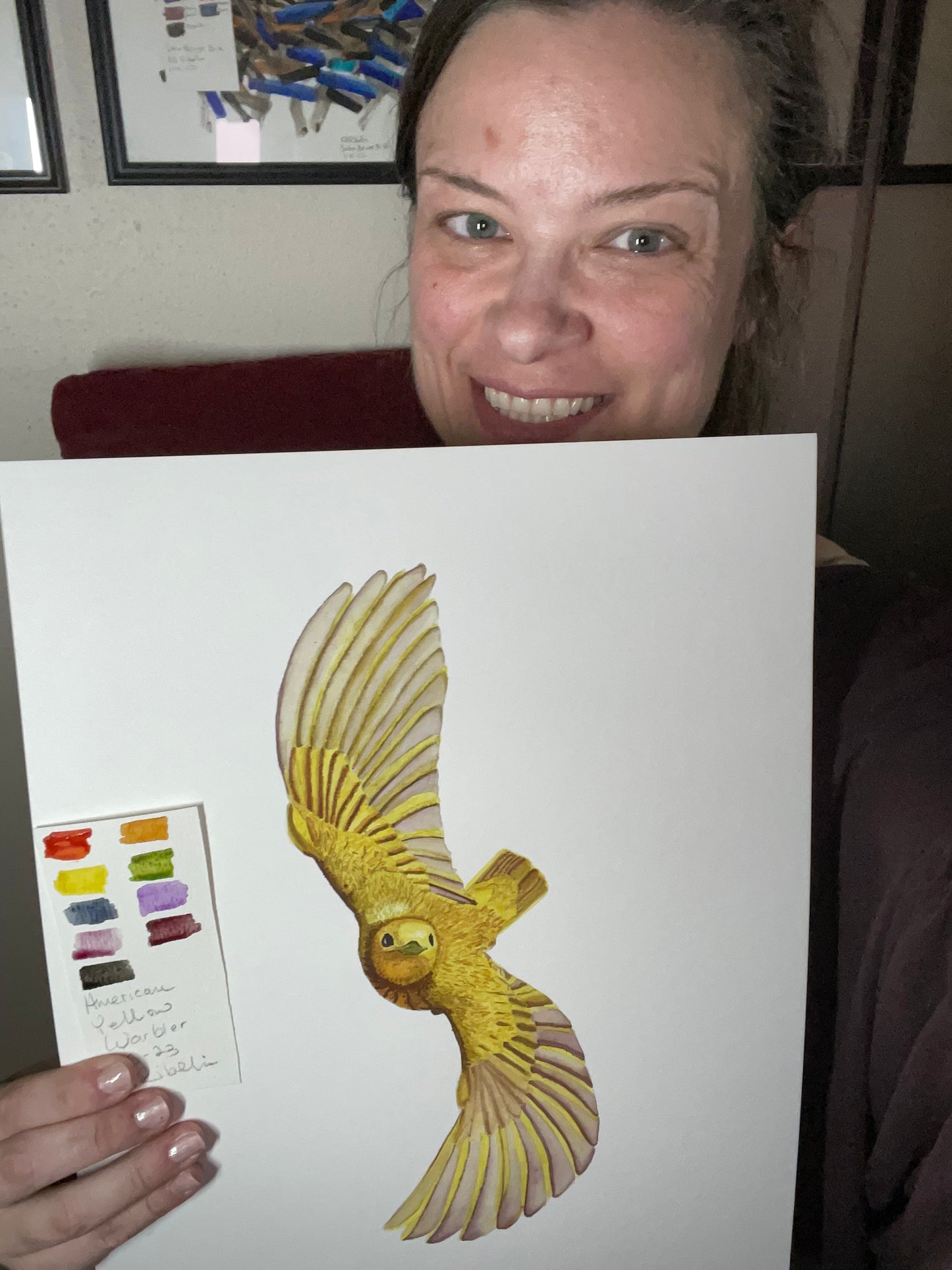 Yellow Warbler - Bird Art by KB