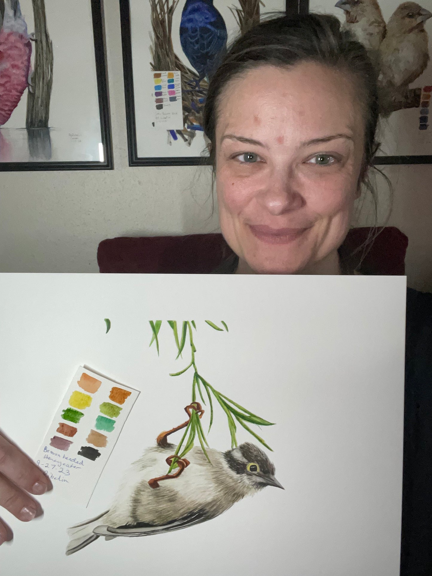 Brown-headed Honeyeater - Bird Art by KB