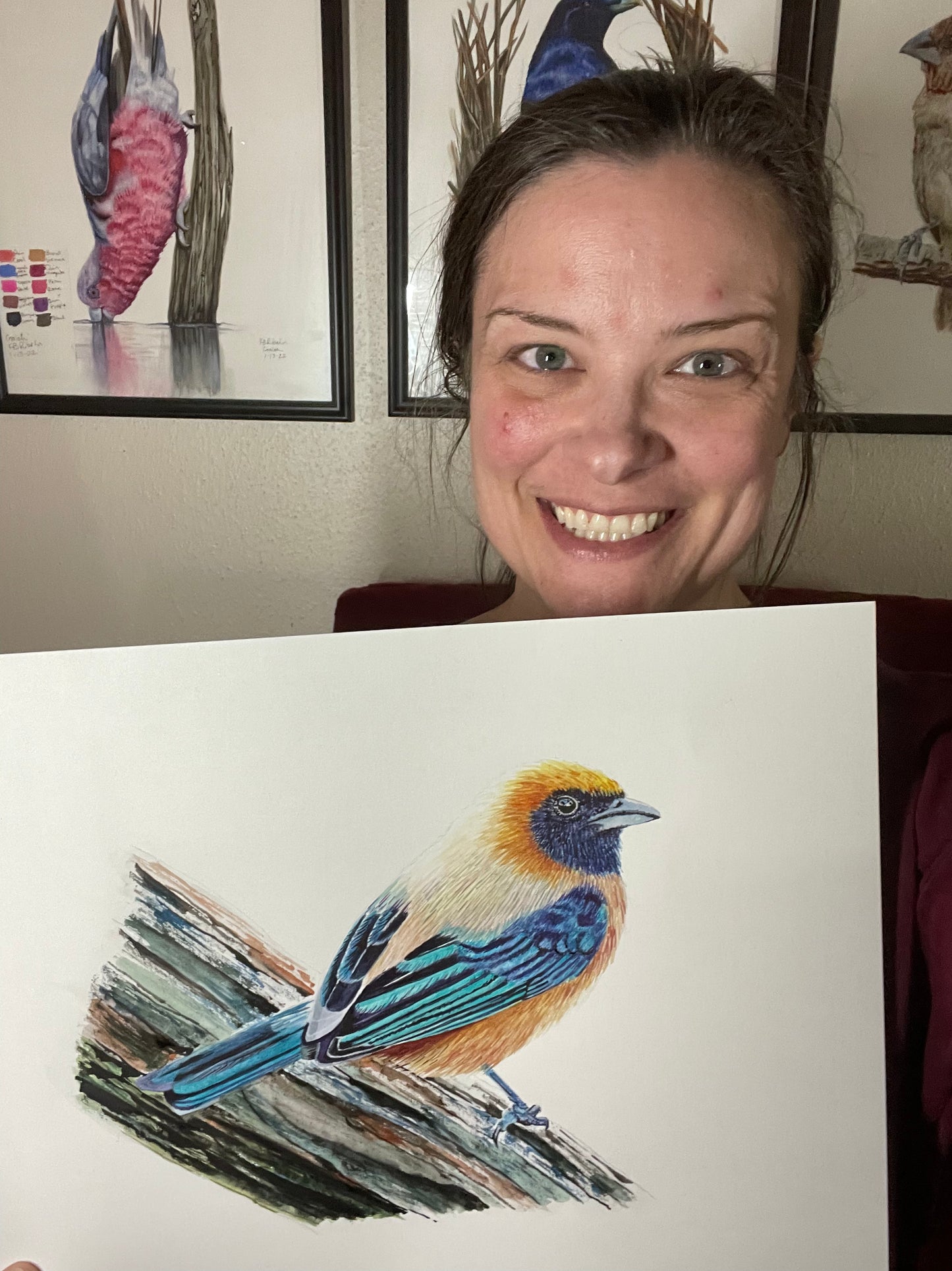 Buff-bellied Tanager - Bird Art by KB